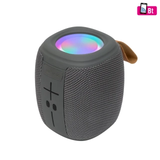 SAL BoomBox BT 1000